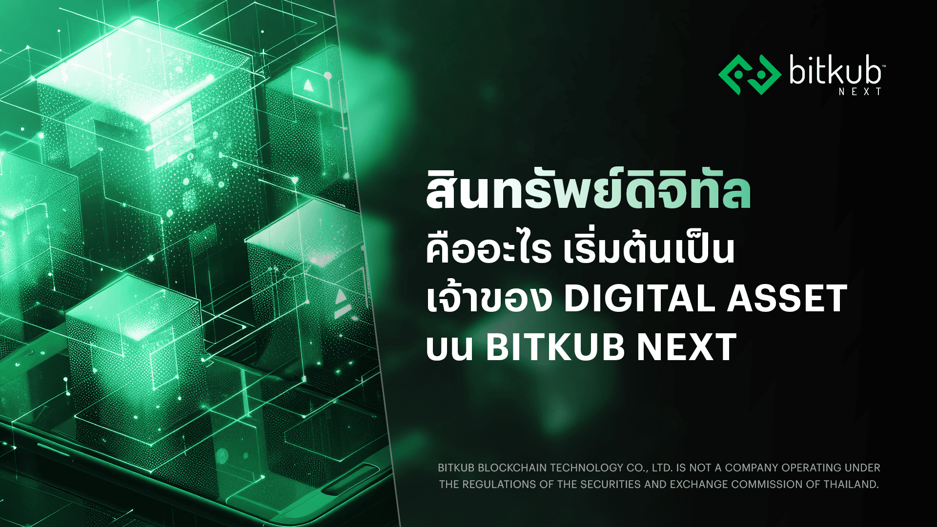 Digital-Assets:-What-are-They?-Start-Owning-on-Bitkub-NEXT-background